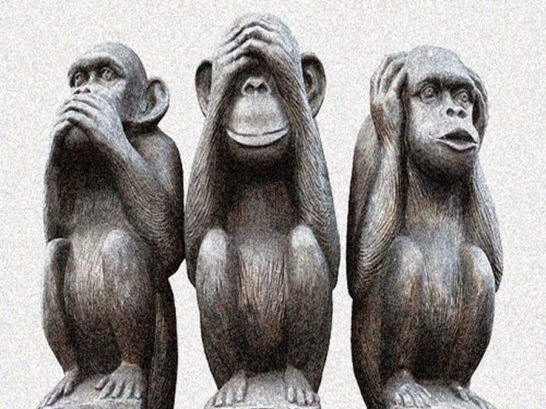 monkeys