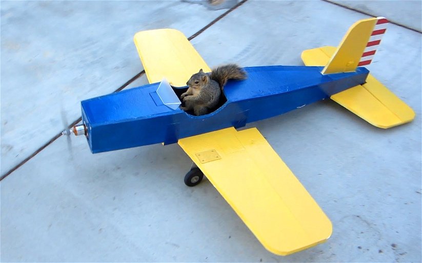 Image for Alistair Johnston Tries To Walk Back Last Night As Sevco’s PR Squirrels Get Ready To Fly Again.