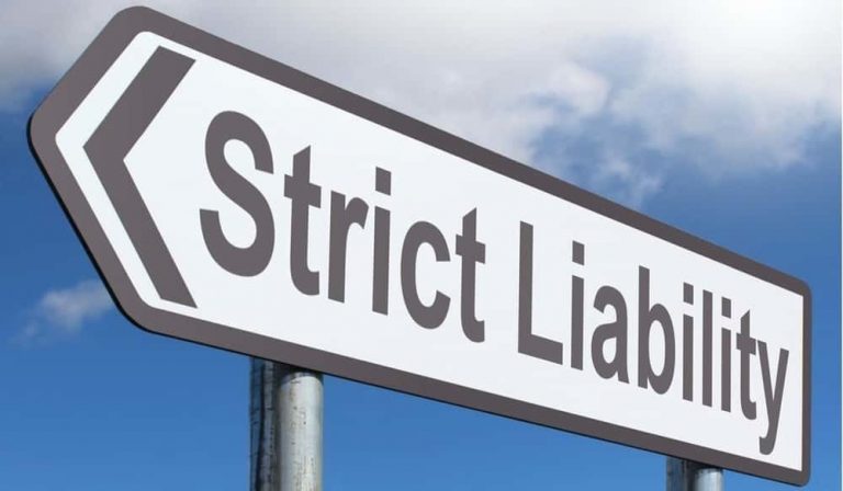 what-is-strict-liability-1000x583