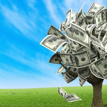 A magic money tree