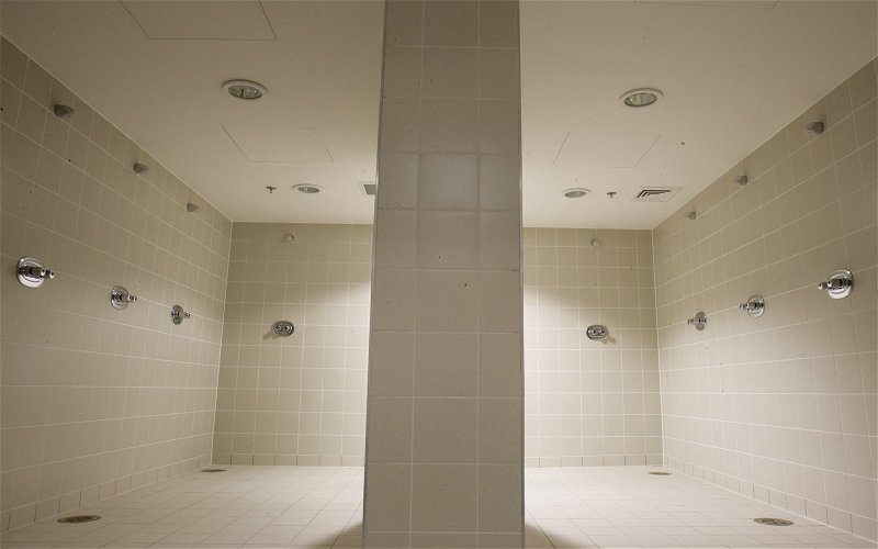 Image for The Incompetent Shower Who Cost Celtic Ten In A Row.