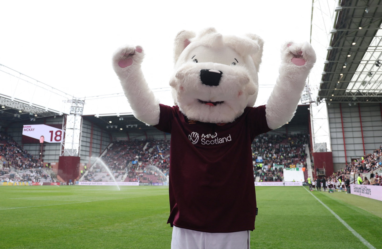 Scottish Premiership - Heart of Midlothian v Celtic